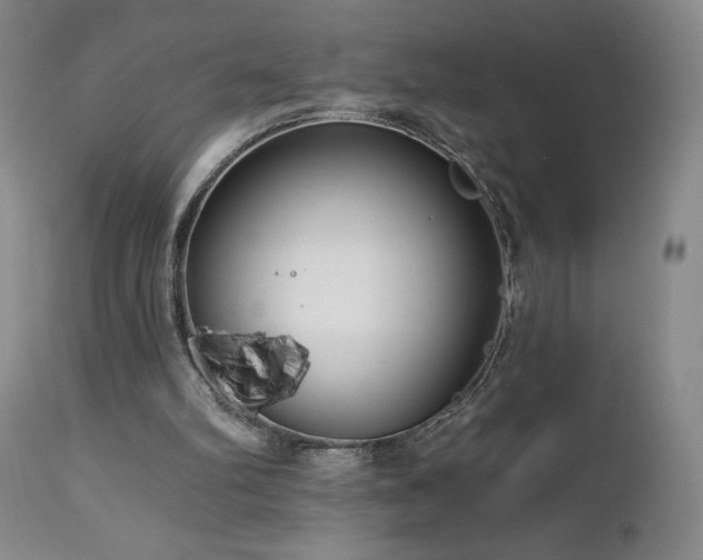 X0000113120102200908281447