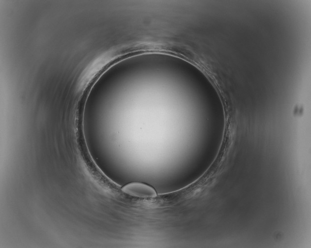 X0000113120103200908281447