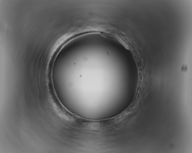 X0000113120104200908281447