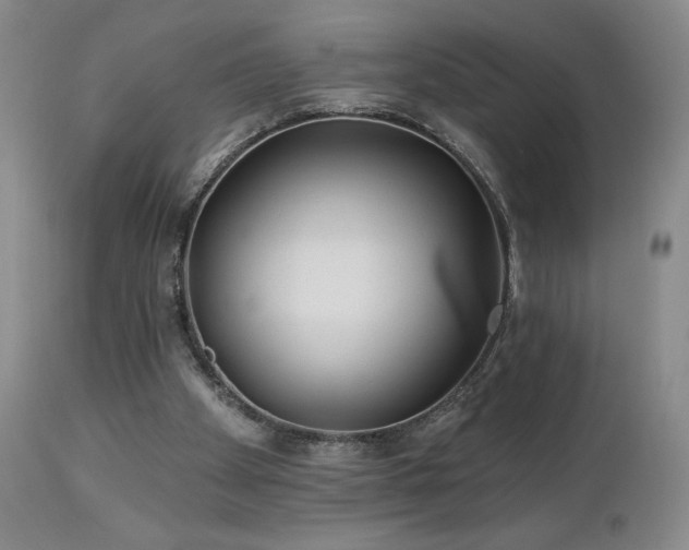 X0000113120105200908281447