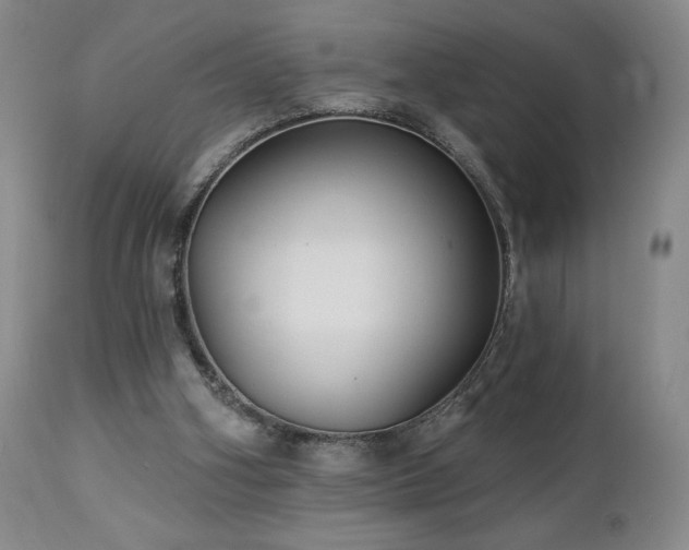 X0000113120106200908281447