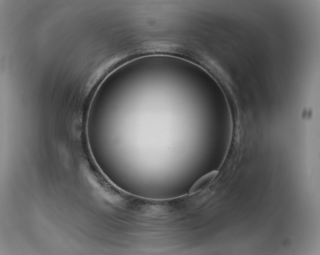 X0000113120107200908281447