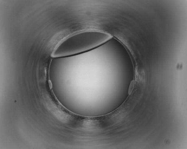 X0000113120109200908281447