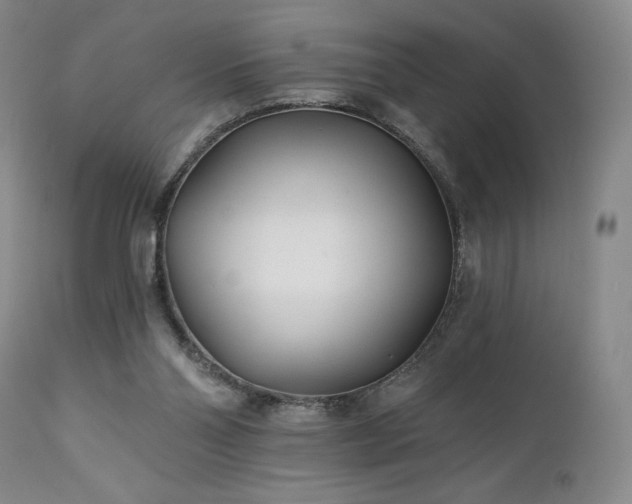 X0000113120110200908281447