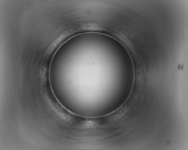 X0000113120111200908281447