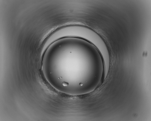 X0000113120112200908281447