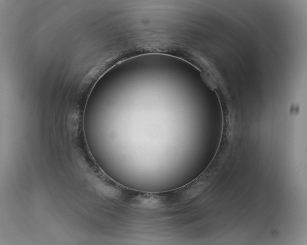 X0000113120113200908281447