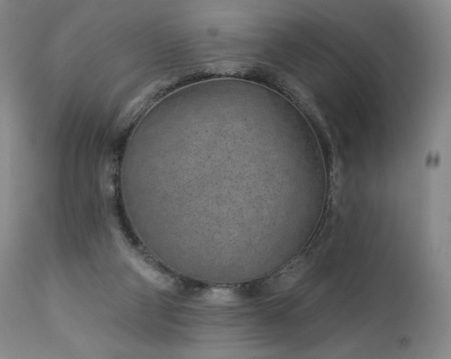 X0000113120114200908281447