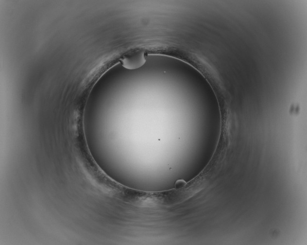 X0000113120115200908281447