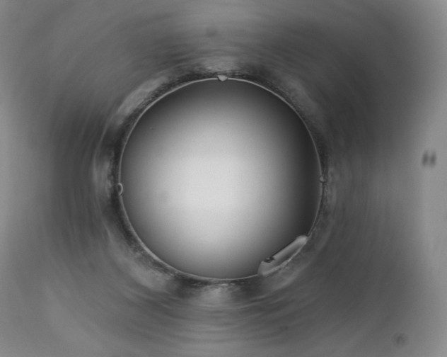 X0000113120116200908281447