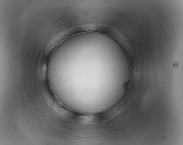 X0000113120118200908281447