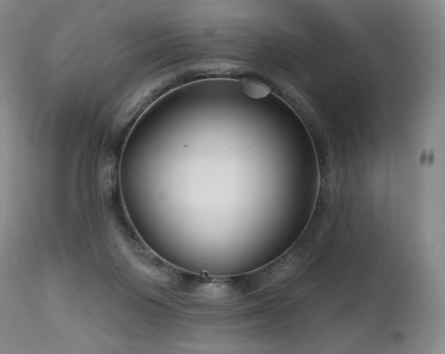 X0000113120119200908281447