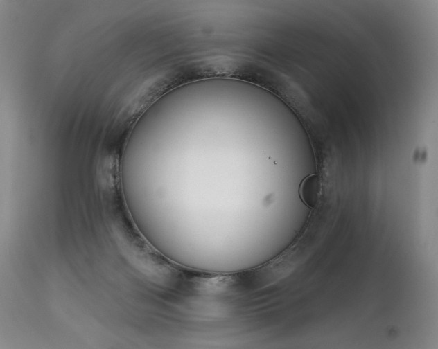 X0000113120122200908281447