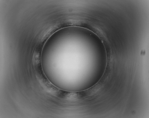 X0000113120123200908281447