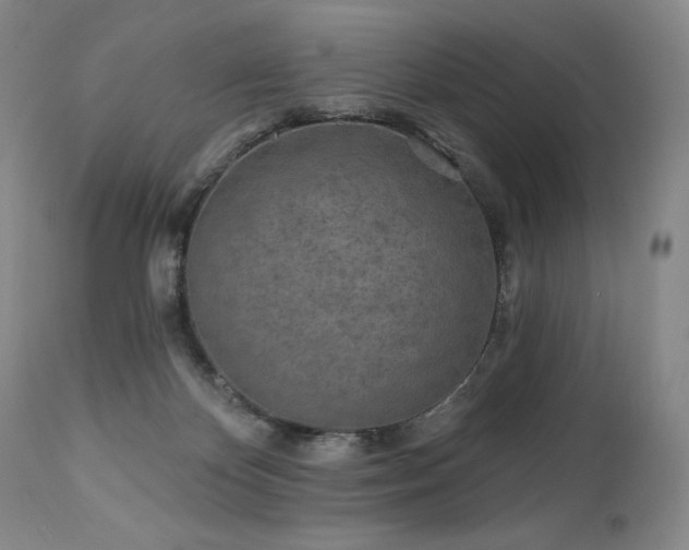 X0000113120124200908281447