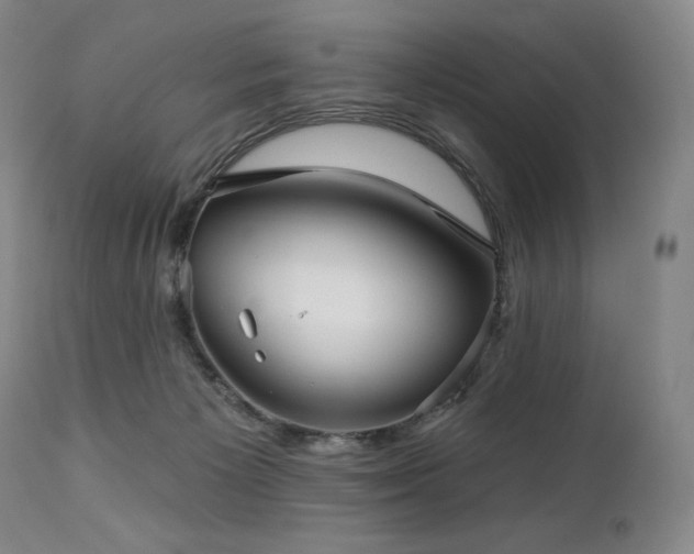 X0000113120125200908281447