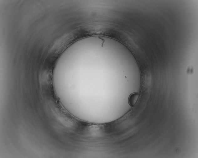 X0000113120126200908281447