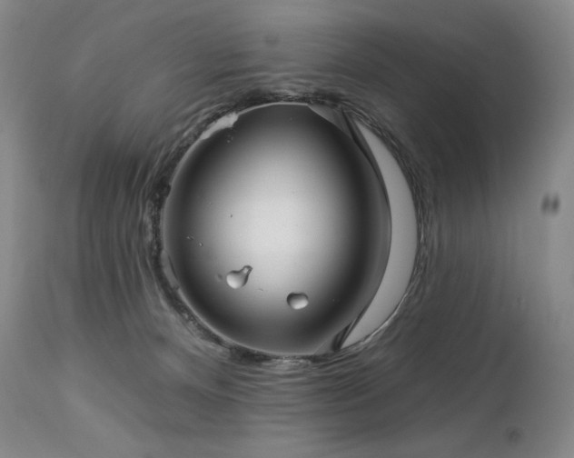 X0000113120128200908281447