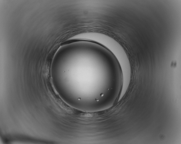 X0000113120129200908281447