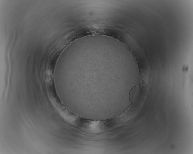 X0000113120130200908281447