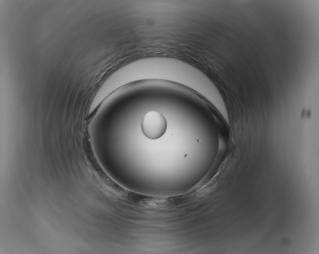 X0000113120132200908281447