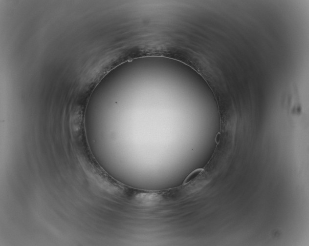 X0000113120133200908281447