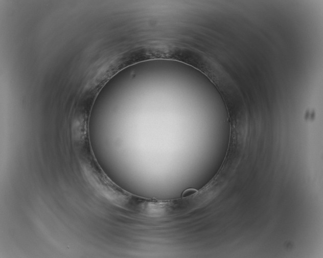 X0000113120134200908281447