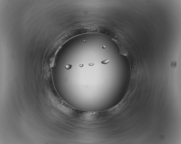 X0000113120136200908281447