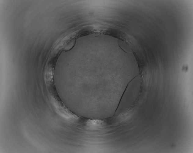 X0000113120137200908281447