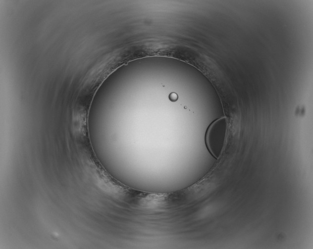 X0000113120138200908281447