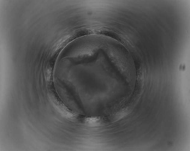 X0000113120139200908281447