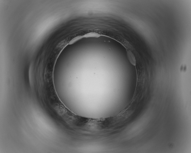 X0000113120140200908281447