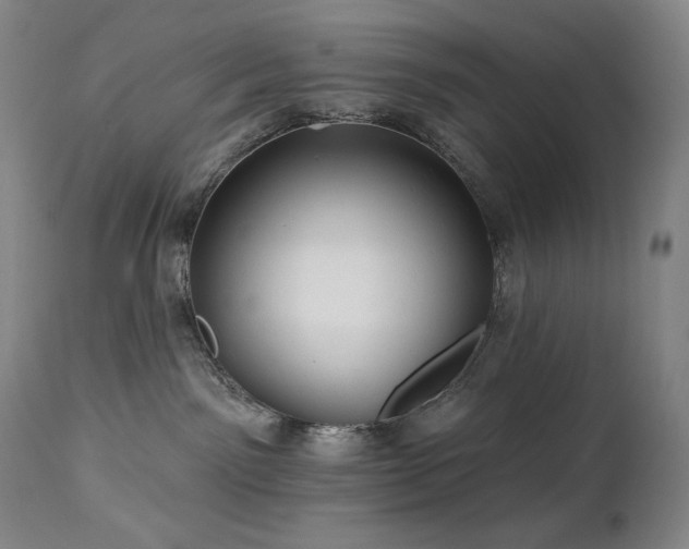 X0000113120141200908281447