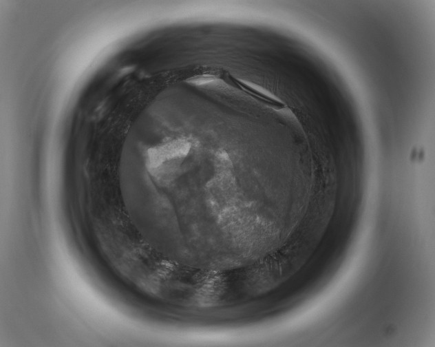 X0000113120143200908281447