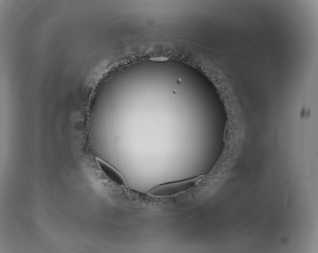 X0000113120144200908281447