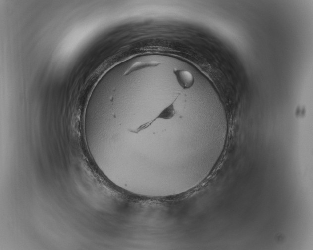 X0000113120146200908281446