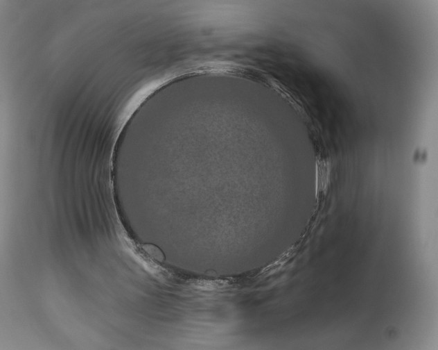 X0000113120147200908281446