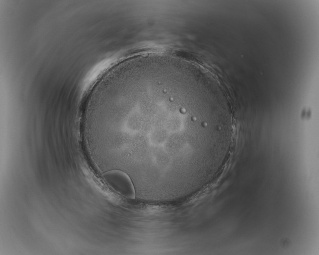 X0000113120149200908281446