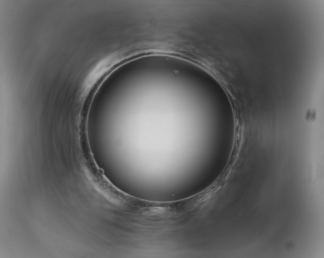 X0000113120151200908281446