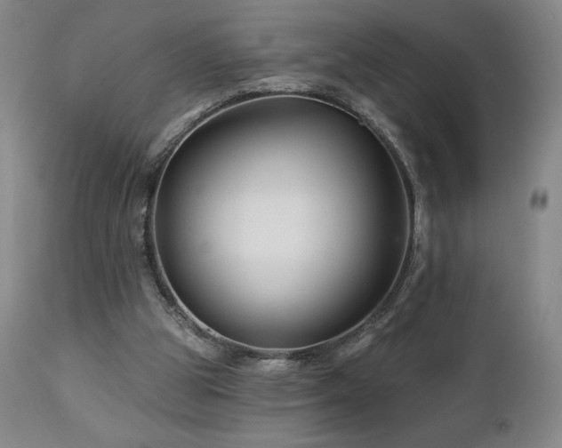 X0000113120153200908281446