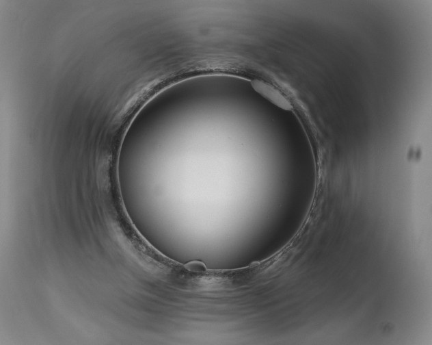 X0000113120154200908281446