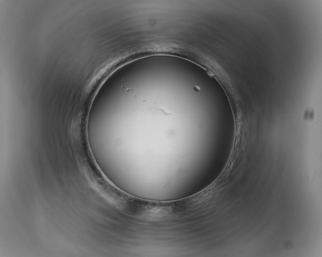 X0000113120155200908281446