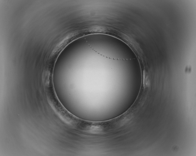 X0000113120157200908281446