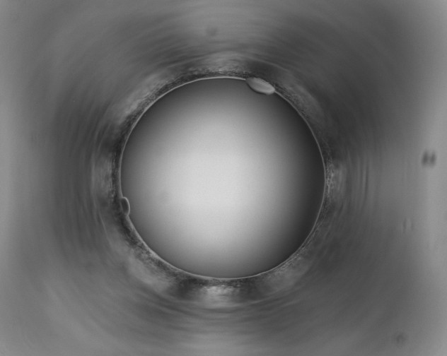 X0000113120158200908281446