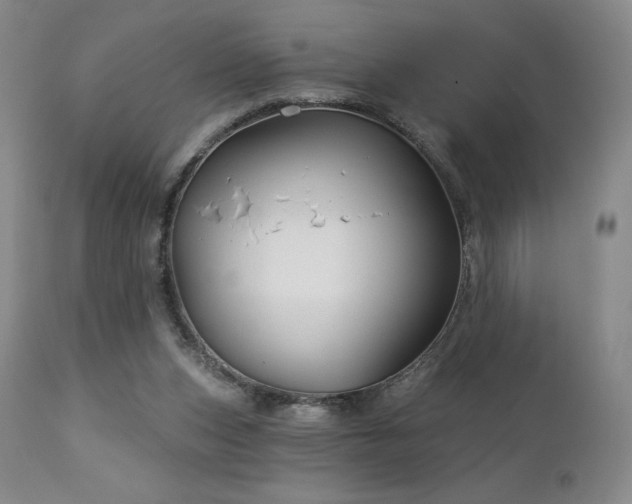 X0000113120159200908281446