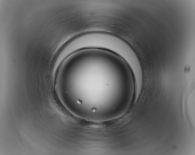 X0000113120160200908281446