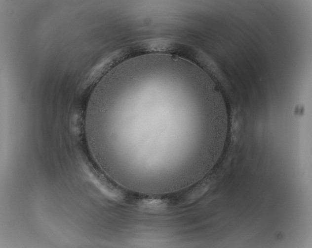 X0000113120161200908281446