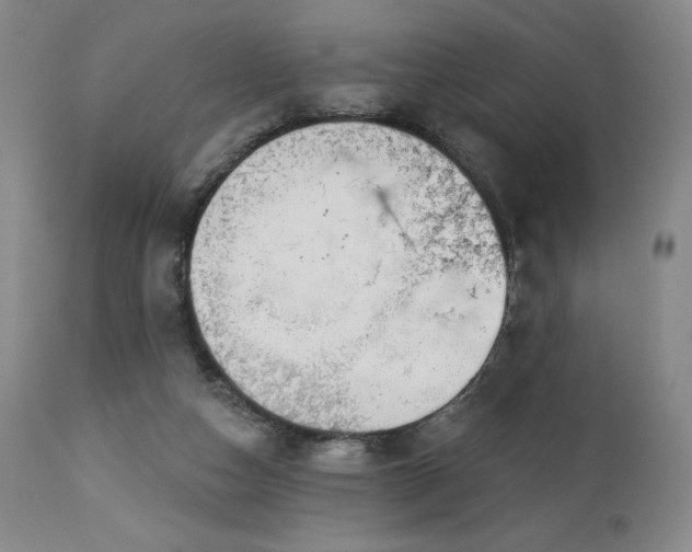 X0000113120162200908281446