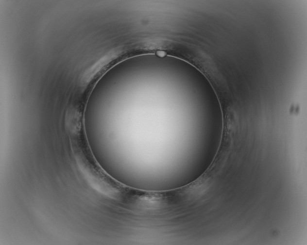 X0000113120164200908281446