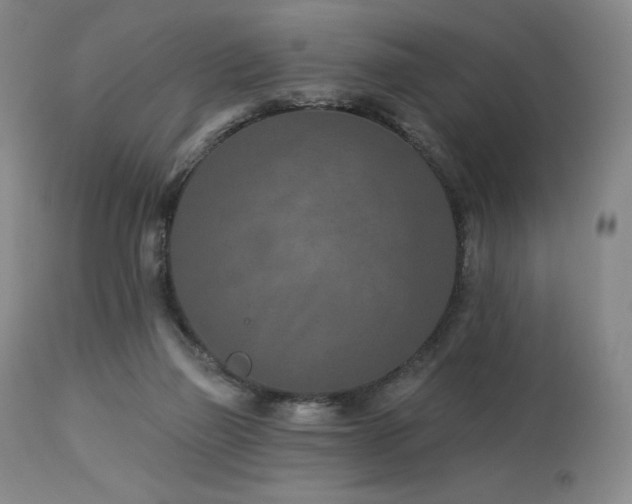 X0000113120165200908281446